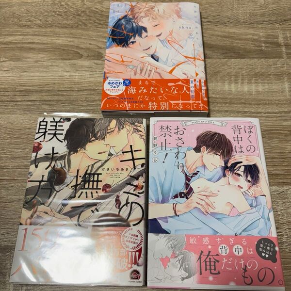 大洋にひかれて ぼくの背中はおさわり禁止! キミの撫で方躾け方 3冊セット