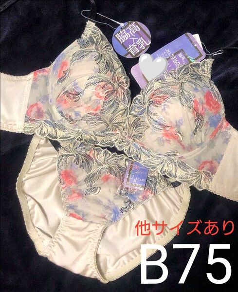 短期出品 B75 メロウフルールシフォン育乳脇高ブラジャー&フルバックショーツ 綺麗 大人気 脇高 盛れる B65 B70 もあり