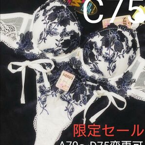 6日まで限定 C75 グラジオラスflowerレースブラジャー&サイド紐・バック透けTバックショーツ エロカワ 盛れる 盛りブラ