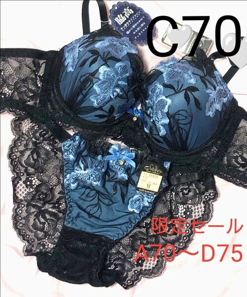 短期出品 C70 ダスティブルームエンブロイダリー育乳脇高ブラジャー&バック透けフルバックショーツ 豪華 刺繍 花柄 レース