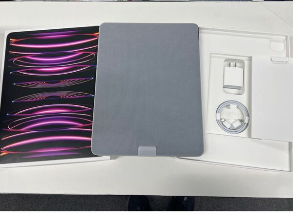 未使用品 SIMフリー iPad Pro 第6世代 12.9インチ Wi-Fi+Cellular 128GB スペースグレイ