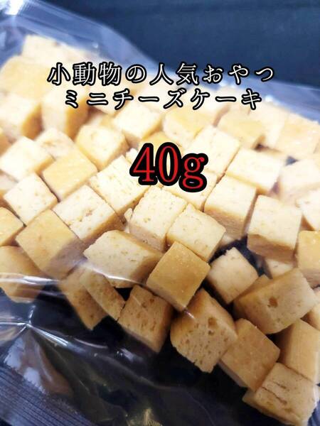 小動物のおやつ チーズケーキ40g フクロモモンガ ハムスター ハリネズミ フェレット うさぎ モルモット チンチラ デグー