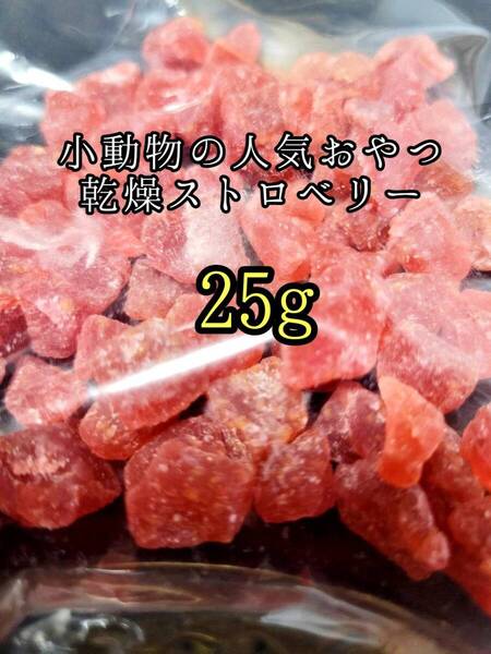小動物のおやつ ドライ苺25g ドライフルーツ フクロモモンガ ハムスター うさぎ モルモット
