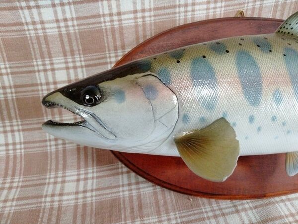 ハンドメイド 39cmヤマメ壁掛け フィギュア レプリカ オブジェ