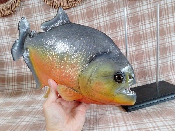 ハンドメイド 38cmピラニア オレンジ フィギュア レプリカ オブジェ 熱帯魚 オブジェ fish craft REAL