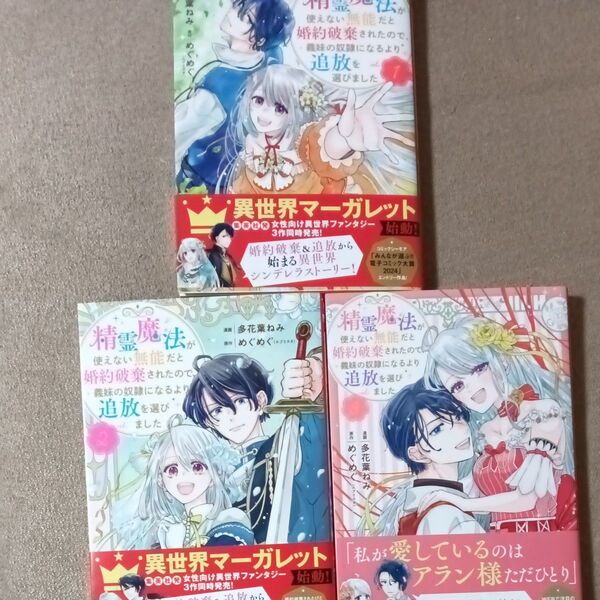 精霊魔法が使えない無能だと婚約破棄されたので、義妹の奴隷になるより追放を選びました 1、2、3巻