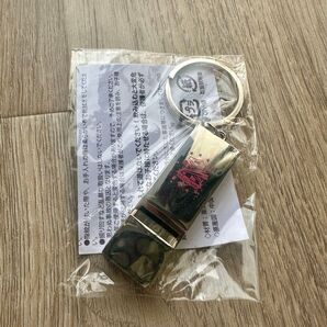 超特急 笛型キーホルダー ファンクラブ特典