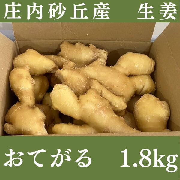 山形県産しょうが 1.8kg|減農薬・砂付き・バラ詰め発送|料理や保存に