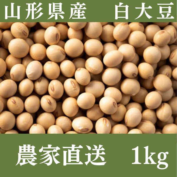 令和6年産 山形県産大豆 1kg 農家直送 手作り味噌・豆乳に 国産 新豆
