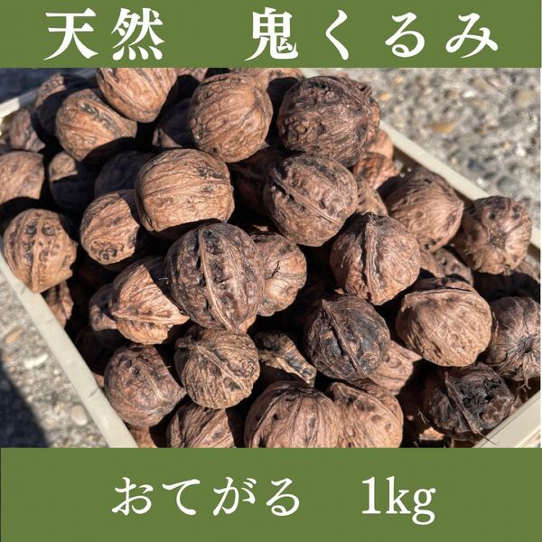 【山形県鶴岡市産】天然の鬼くるみ 1kg|香ばしい濃厚風味・自然食品