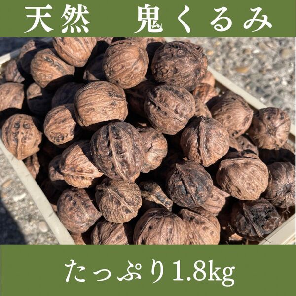 【山形県鶴岡市産】天然の鬼くるみ 1.8kg|香ばしい濃厚風味・自然食品