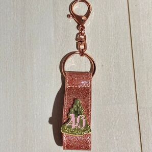 ディズニー カチューシャホルダー キーホルダー シンデレラ城ドリームゴーラウンド