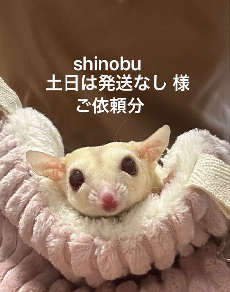 【shinobu土日は発送なし様 ご依頼分】