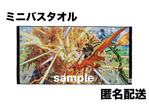 ミニバスタオル Pokmon EX Drawing Yusuke Murata ポケモン 村田雄介