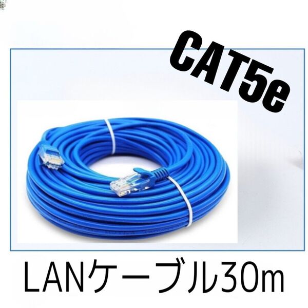 LANケーブル 30M RJ-45 8芯 Cat 5 最大100Mbps ゲーム PC Wi-Fi wifi 30m ブルー 青