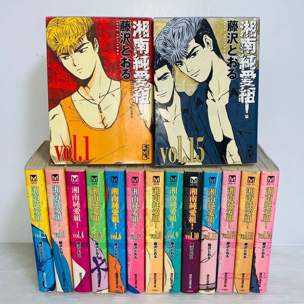 文庫版 湘南純愛組 全巻セット 1-15巻
