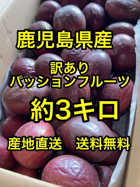 鹿児島県産 産地直送訳ありパッションフルーツ 約3キロ