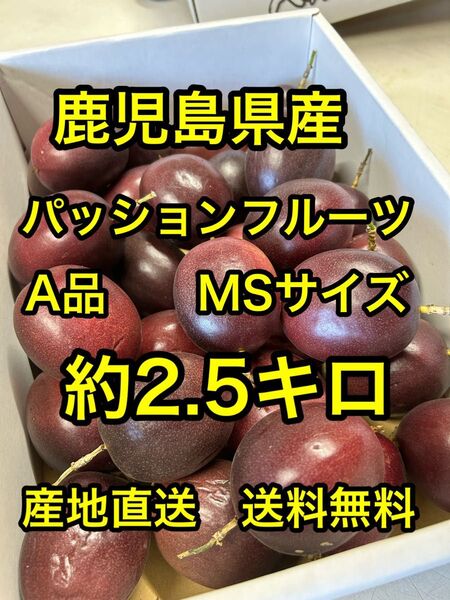鹿児島県産 産地直送パッションフルーツA品 MSサイズ 約2.5キロ