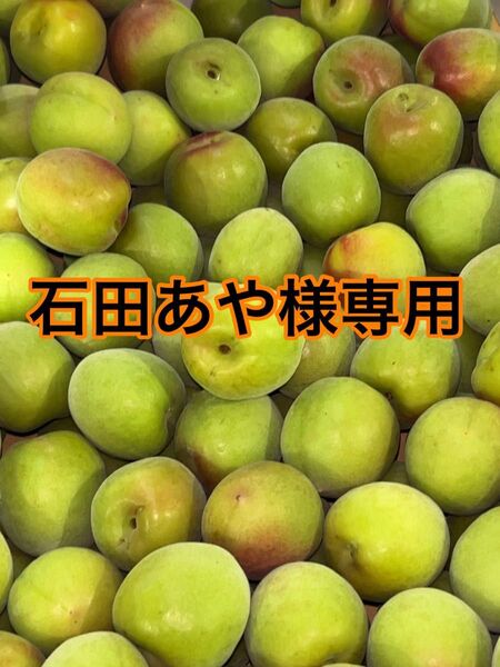 鹿児島県産 南高梅 L〜2Lサイズ 箱込10キロ