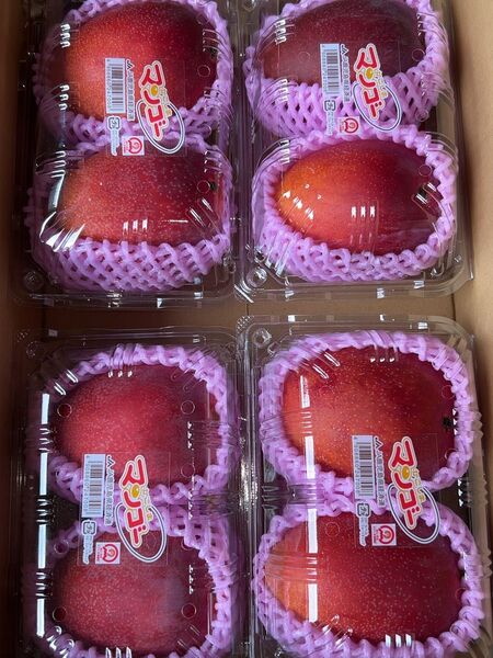 鹿児島県産 アップルマンゴーB品 アーウィン種 M〜Lサイズ 8玉