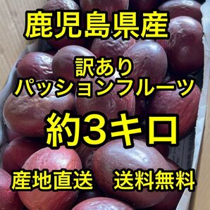 鹿児島県産 産地直送訳ありパッションフルーツ 約3キロ