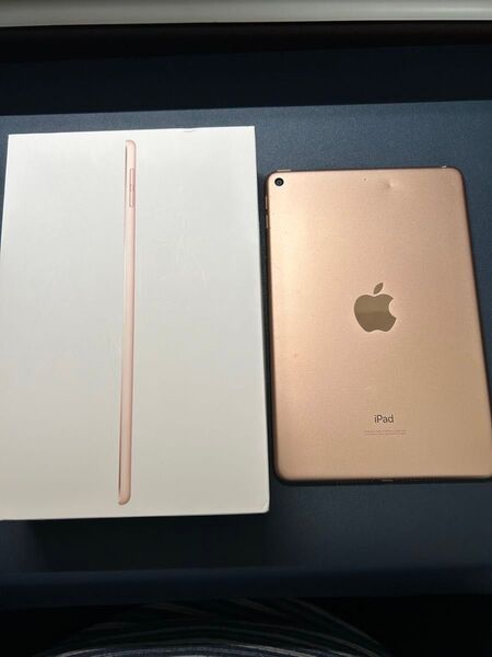 【バッテリー最大容量89%・傷汚れ有り】Apple iPad mini (第5世代) 64GB Wi-Fi ゴールド