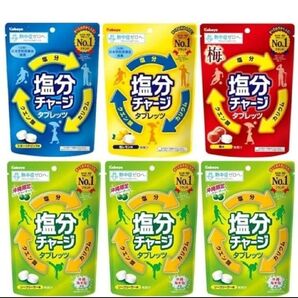 【6袋セット】カバヤ 塩分チャージタブレッツ シークヮーサー 沖縄限定 梅 塩レモン