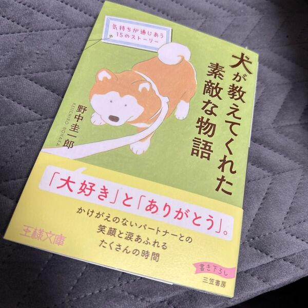 犬が教えてくれた素敵な物語 (王様文庫 D74-1) 野中圭一郎/著