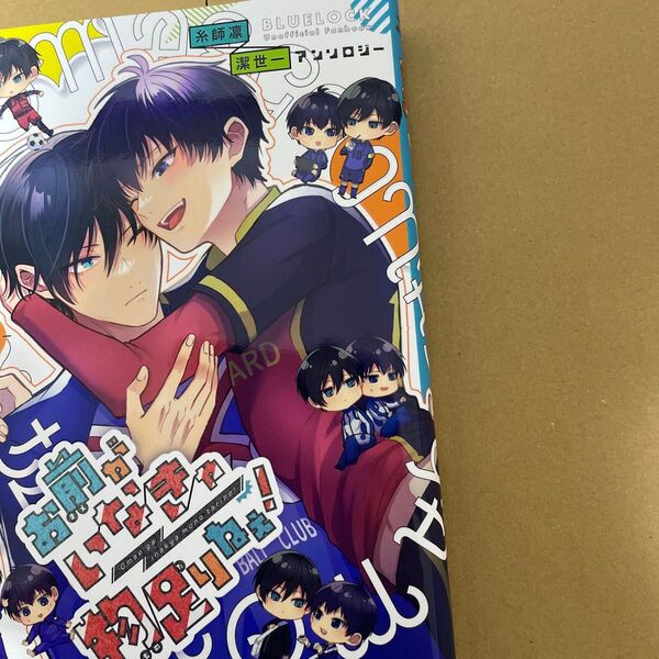 ブルーロック 同人誌 凛潔 お前がいなきゃ物足りねぇ!