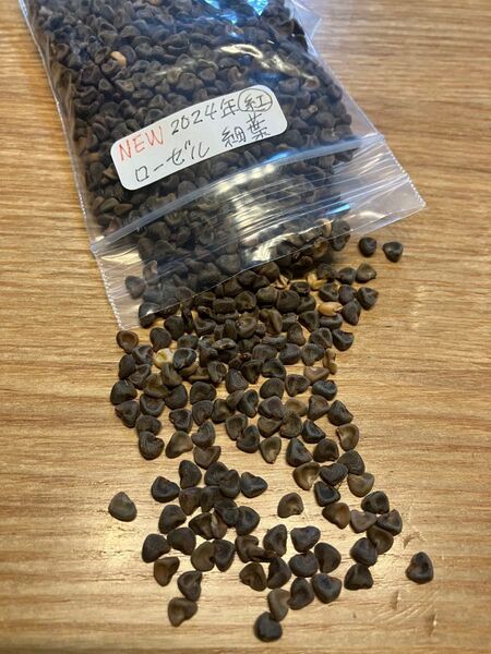 ☆残りわずか☆農薬不使用栽培ローゼル赤30粒種とローゼル白20粒種とコキア種付き