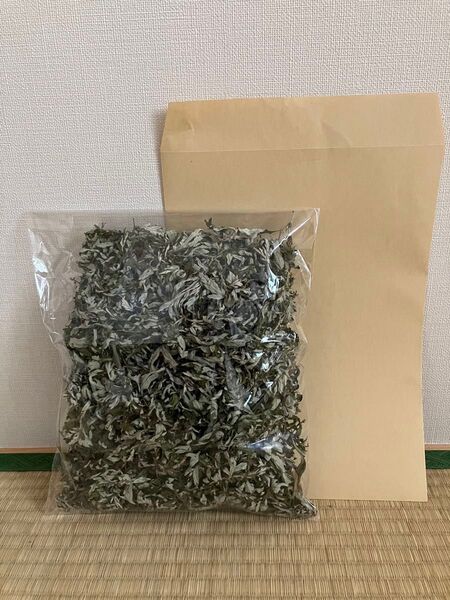 ☆値下げ☆信州無農薬乾燥よもぎ80g&おまけ2024年コキア種!