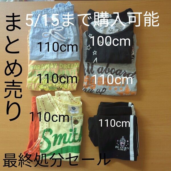 半袖 タンクトップ Tシャツ、ズボン まとめ売り 100 110 6点セット