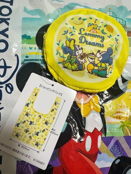 ディズニーリゾート エコバッグ レモ二ードリームス ミッキー ミニー フィガロ レモン