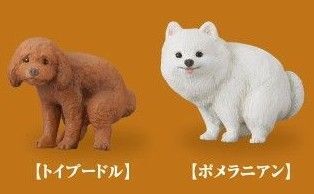 ふんばりーぬ【トイプードル・ポメラニアン】