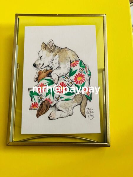 ヒグチユウコ 非売品 ポストカード ノベルティ レア おひるね お犬 アノマロ yukohiguchi 樋口侑子 額装 インテリア