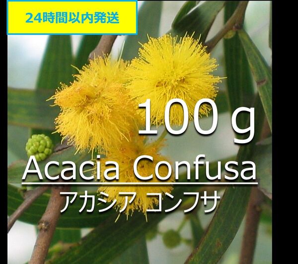 【無農薬】天然染料 アカシア 100g