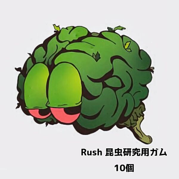 Rush 昆虫研究用ガム 10個