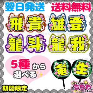 うちわ文字/貼るだけ/名前団扇/文字パネル/コンサート/ACEes/エイシーズ/浮所飛貴/那須雄登/作間龍斗/深田竜生/佐藤龍我