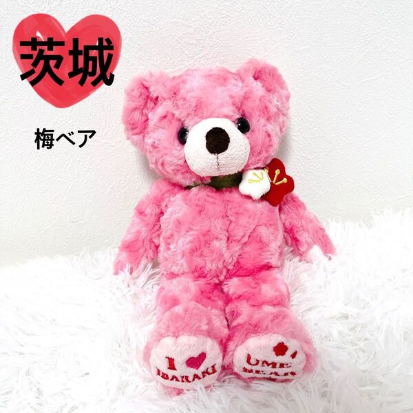 【美品】 ご当地ベア 茨城 梅ベア 限定品 レア 希少 テディベア ピンク