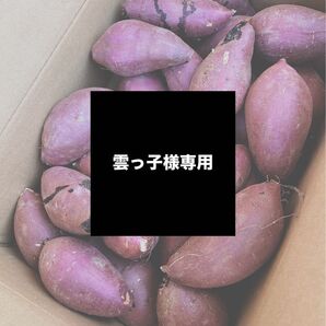 雲っ子様専用