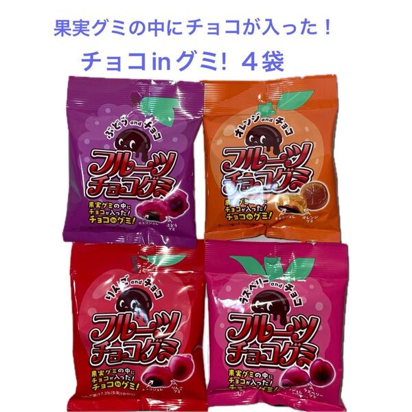 フルーツチョコグミ4種 32g×4袋《ぶどう・オレンジ・りんご・ラズベリー》