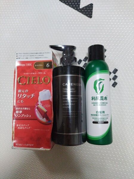 ケアネス テラケアトリートメント 400g 利尻炭酸カラーシャンプー CIELOヘアカラークリーム