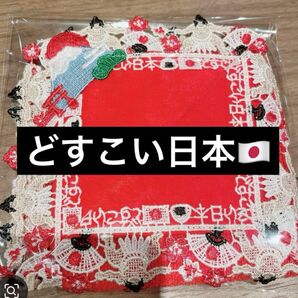近沢レース どすこい日本