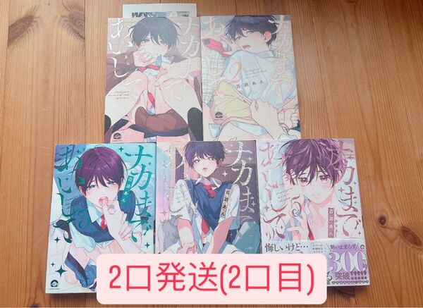 ナカまであいして 1~5巻セット (2口発送・2口目) 百瀬あん