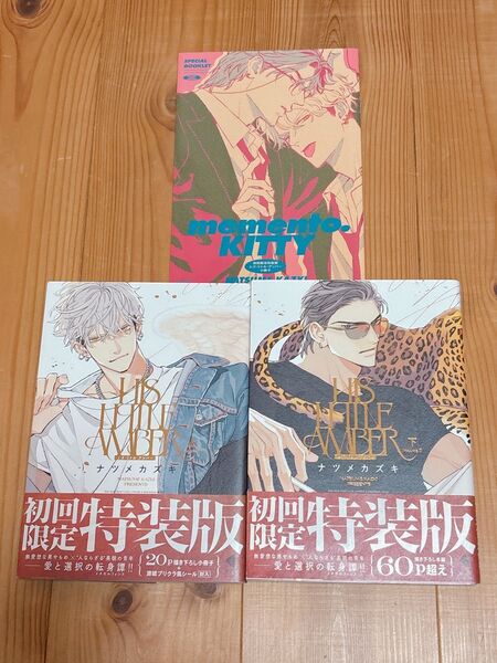 ヒズリトルアンバー 初回限定特装版 セット 小冊子付き HIS LITTLE AMBER ナツメカズキ