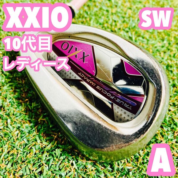 XXIO ゼクシオ 10代目 MP1000 レディース アイアン ウェッジ SW