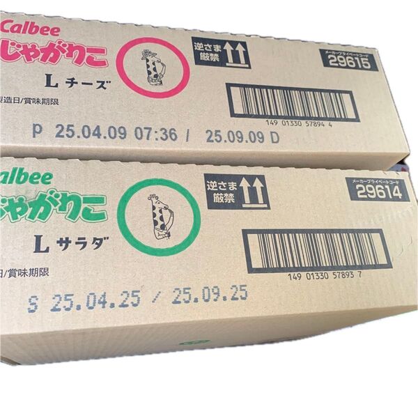 お菓子まとめ売り じゃがりこL