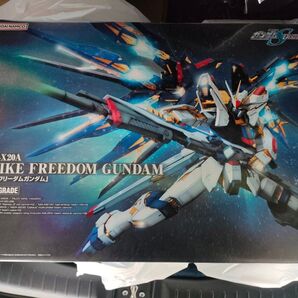 未組立 機動戦士ガンダムSEED DESTINY ストライクフリーダムガンダム PG