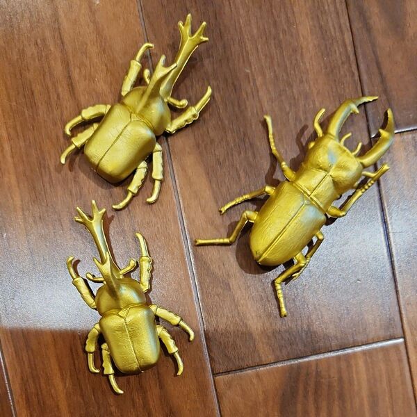 カブトムシ 三点セット