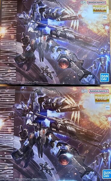 【2個セット】MG 1/100 ガンダムヴィダール 新品未組立